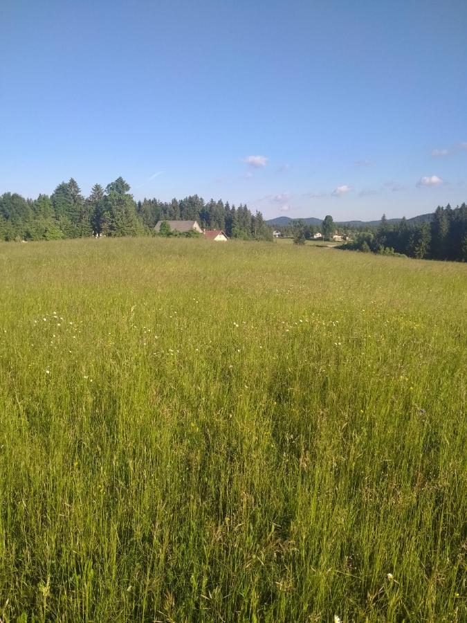 Apartma Sveti Duh Nova Vas  Екстериор снимка