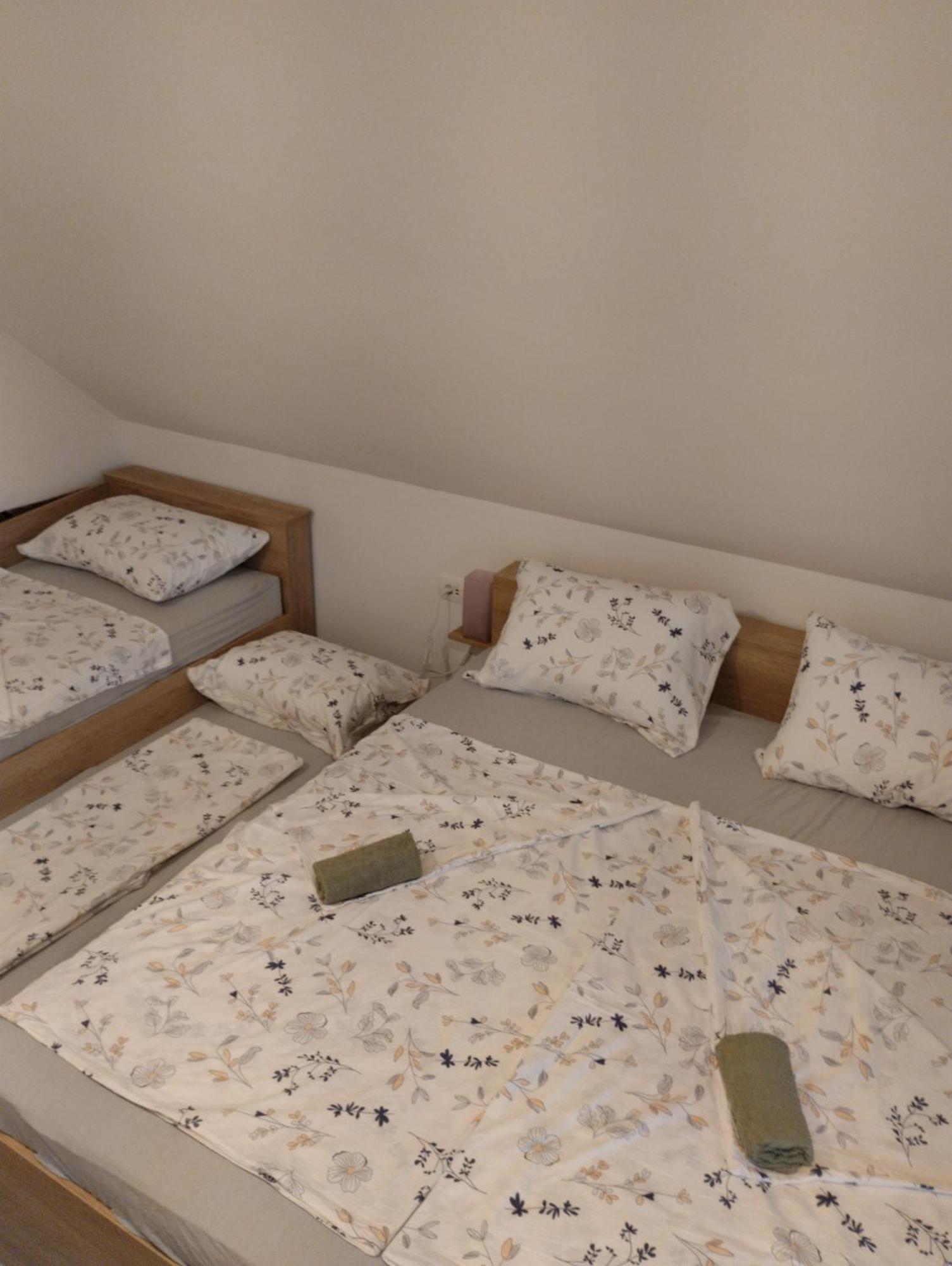Apartma Sveti Duh Nova Vas  Екстериор снимка