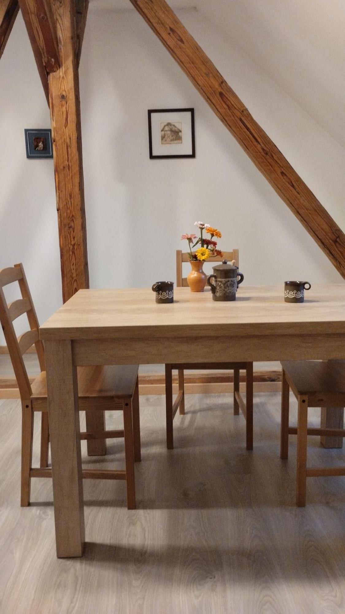 Apartma Sveti Duh Nova Vas  Екстериор снимка